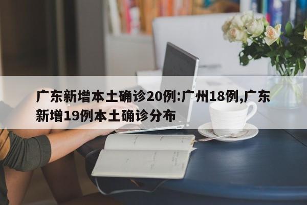 广东新增本土确诊20例:广州18例,广东新增19例本土确诊分布